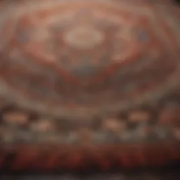Luxurious area rug with intricate patterns and textures