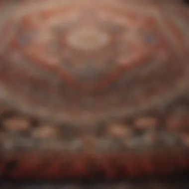 The Beauty of Intricate Rug Designs Luxurious area rug with intricate patterns and textures