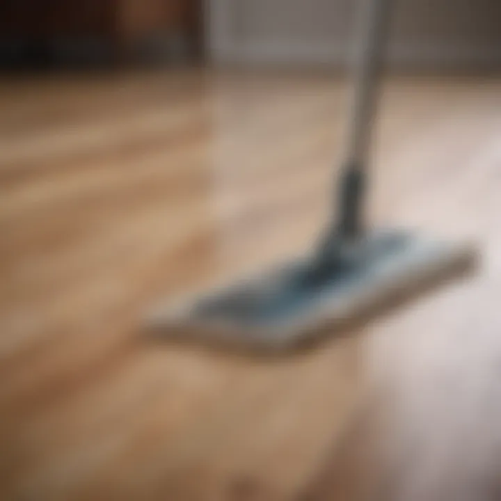 Close-up of a mop gliding over a laminate floor