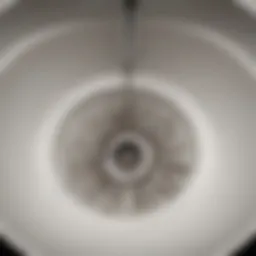 Overview of a clogged sink drain with visible debris.