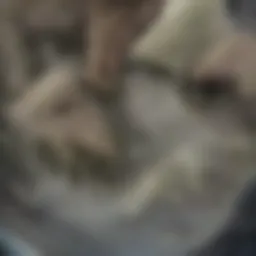 Clogged drain illustration showing various debris causing blockage