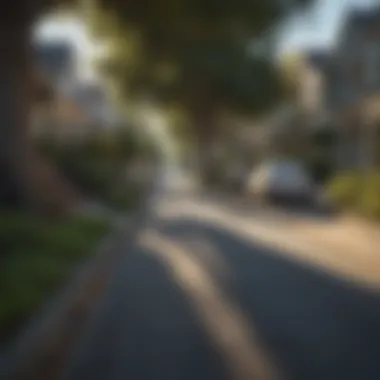 Charming street in Berkeley with tree-lined sidewalks