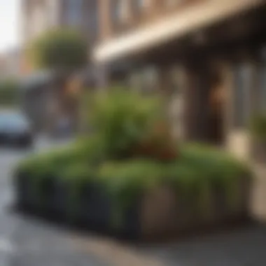 A close-up of soil and plants in a well-maintained city planter.