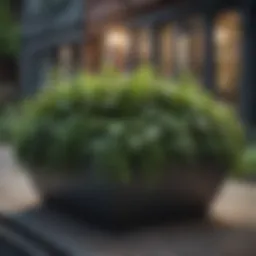 A vibrant city garden planter overflowing with lush greenery.
