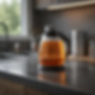 Natural cleaning solutions displayed on a countertop