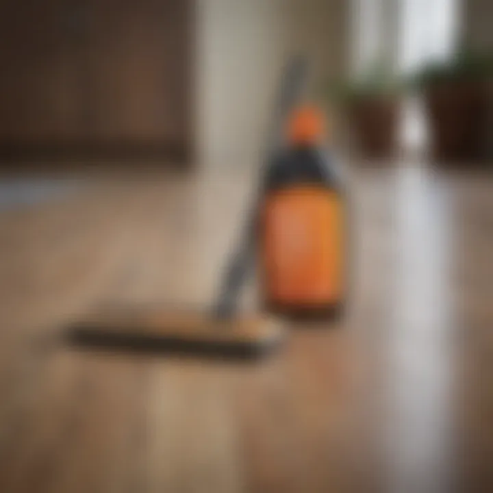 An organized cleaning kit with tools for laminate care