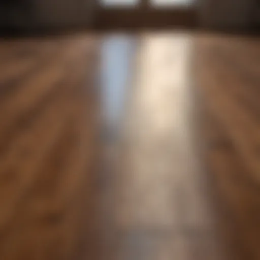 Polished wood floor reflecting light