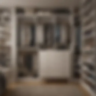 Orderly Closet Setup Organized closet with neatly arranged items