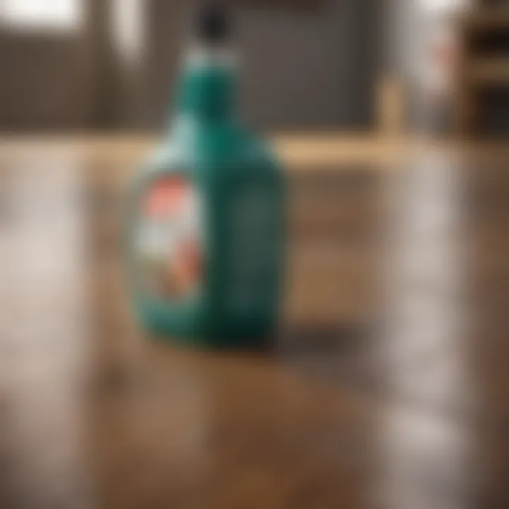 Selection of eco-friendly cleaning products for floors