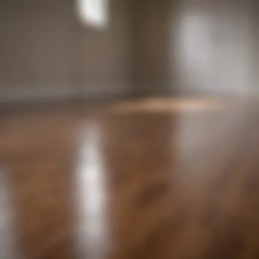 Sparkling clean fake hardwood floor showcasing its shine