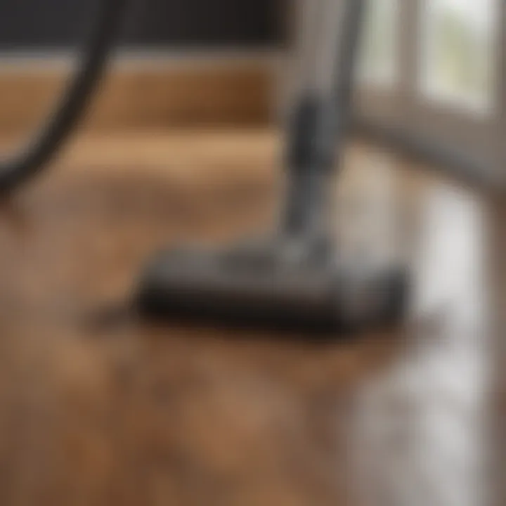 A vacuum cleaner effectively removing dirt from hardwood surfaces