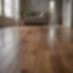 Sparkling clean laminate flooring