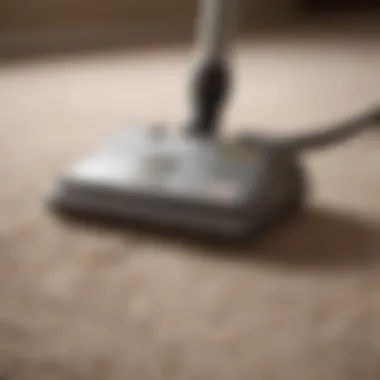 A close-up of a carpet cleaner in action, effectively removing dirt and stains.