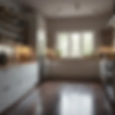 Organizing and Cleaning the Kitchen Kitchen organization and cleaning