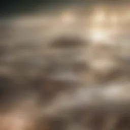 Charming Residential Neighborhood in Culver City