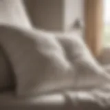 A close-up of a fluffy pillow surrounded by cleaning supplies.