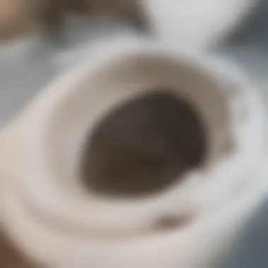 Using Baking Soda and Vinegar for Clog Removal A visualization of applying baking soda and vinegar in a toilet