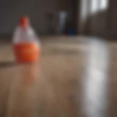 Selection of cleaning products for laminate floors