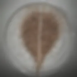 Illustration depicting hair accumulation in a drain
