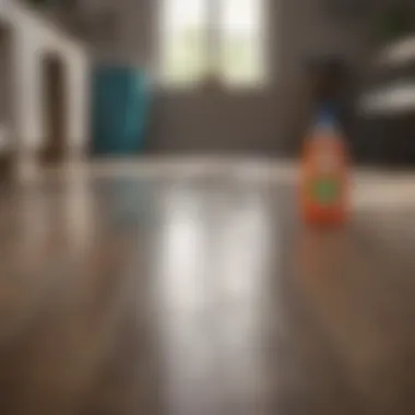 Various cleaning supplies on a laminate floor