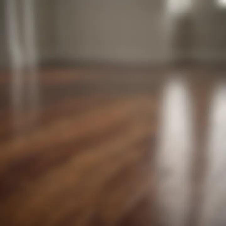 A well-maintained hardwood floor showcasing its shine