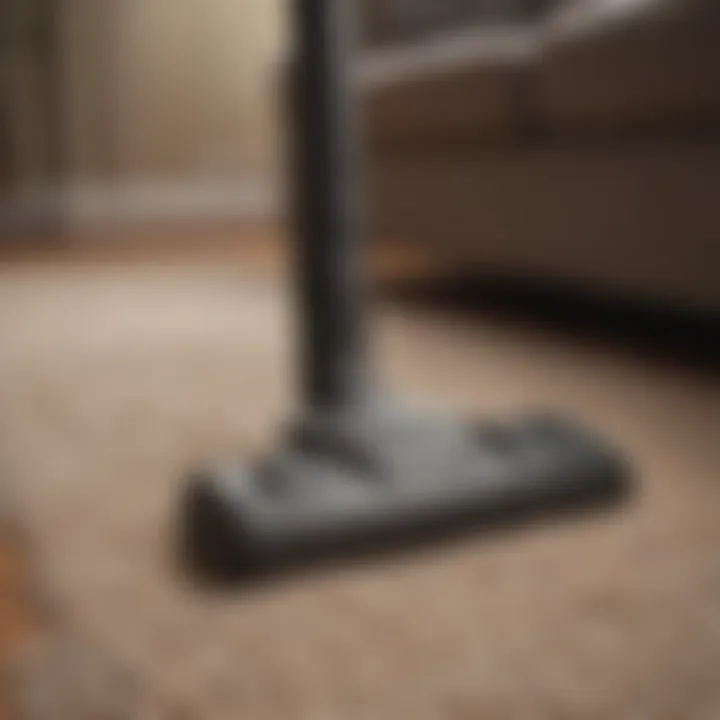 A well-maintained vacuum rug in a cozy home setting