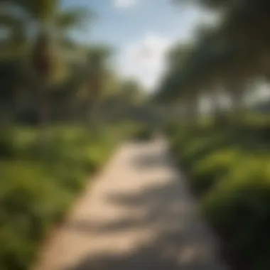 Green Spaces Enhancing Community Living in Miami A serene park in one of Miami's new neighborhoods, illustrating green spaces and community living