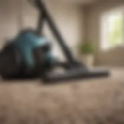 A high-quality vacuum cleaner designed for efficient home cleaning