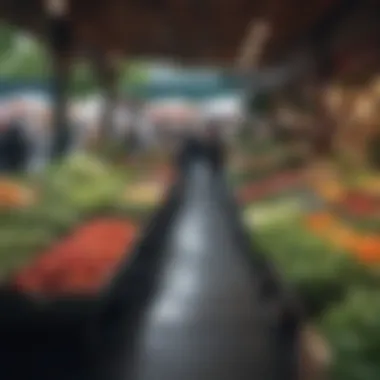 A bustling farmers market showcasing local produce