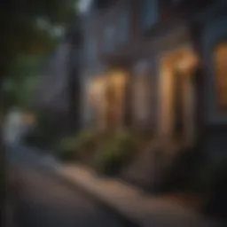 Charming street in a vibrant DC neighborhood