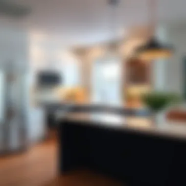 Modern kitchen in a Ravenswood apartment
