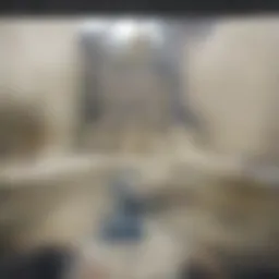 Stunning view of Fontainebleau architecture