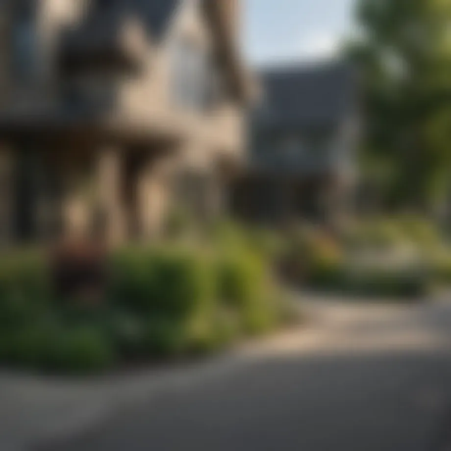Charming residential street showcasing diverse architectural styles in a Chicago suburb
