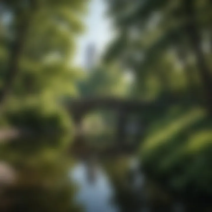A lush park scene in Central Park with visitors enjoying nature