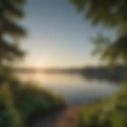 A panoramic view of Lake Washington framed by lush greenery