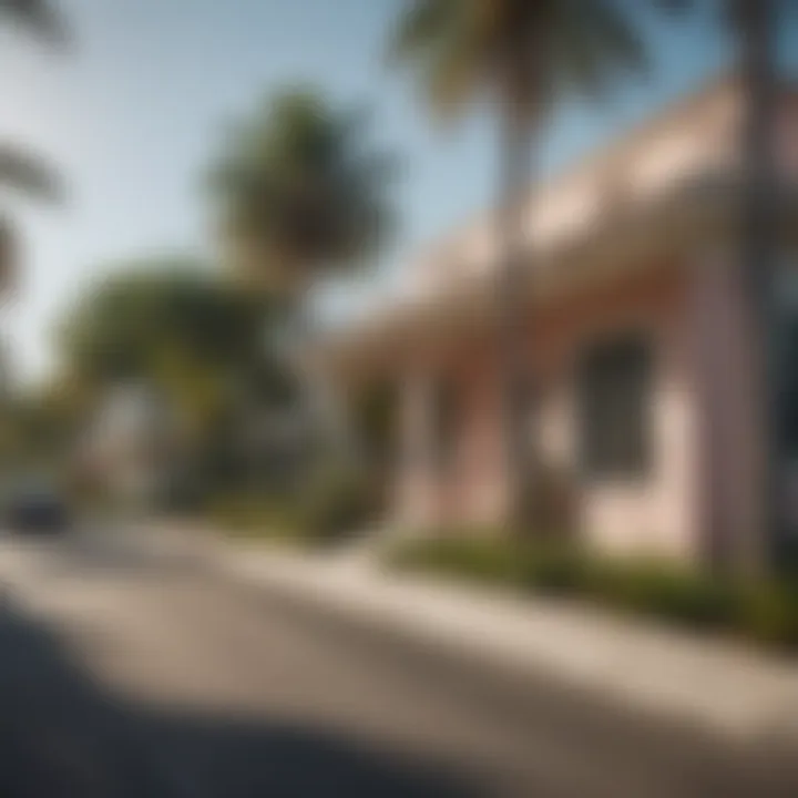 Charming street lined with palm trees and beautiful homes in Miami