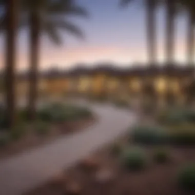 A serene park with palm trees and modern homes in a suburban neighborhood