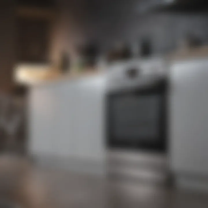 A visually appealing kitchen organized with various cleaning appliances