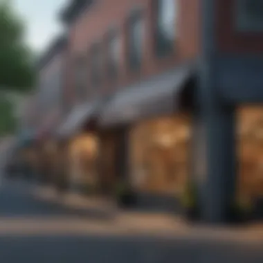 Lively street scene showcasing local shops