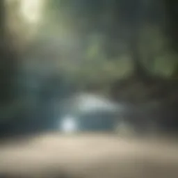 Scenic view of Green Lake with walking paths and trees