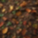 A vibrant compost pile showcasing layers of organic materials