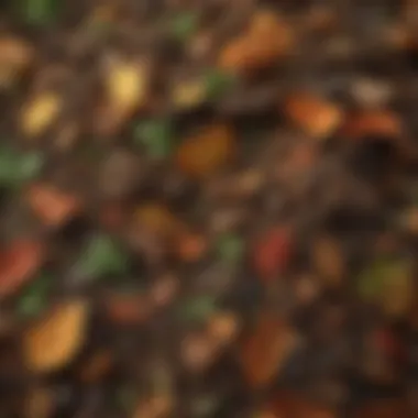 A vibrant compost pile showcasing layers of organic materials