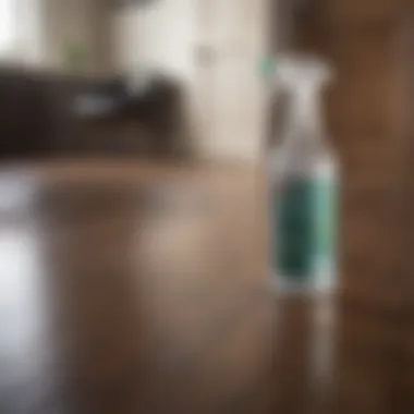 Eco-friendly cleaning solution in a spray bottle