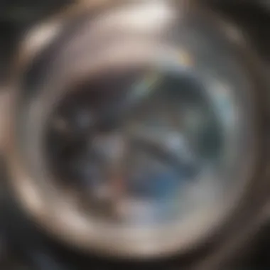 Mold growth in a washing machine drum