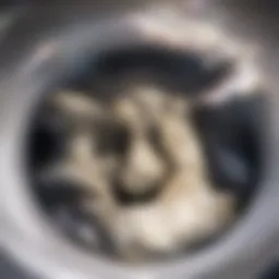 Plumbing snake coiled and ready for use