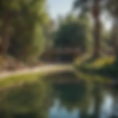 Community and Recreation in Nature A scenic park in Los Angeles filled with residents enjoying recreational activities