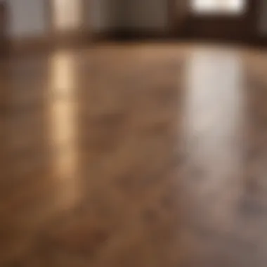 A clean hardwood floor showcasing its shine