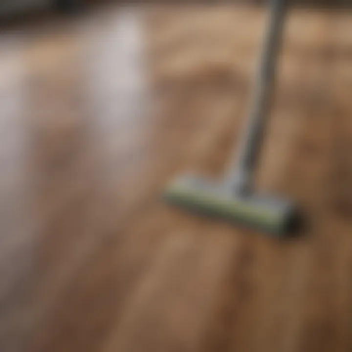 Close-up of quality laminate floor cleaning products