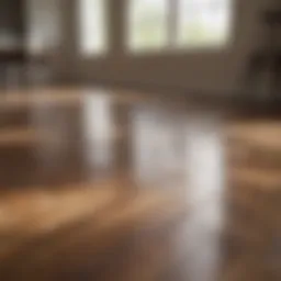 Gleaming laminate flooring reflecting natural light