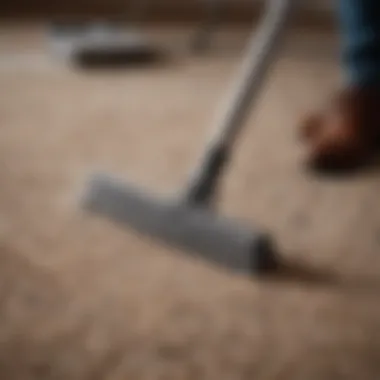 Squeegee in action on a rug